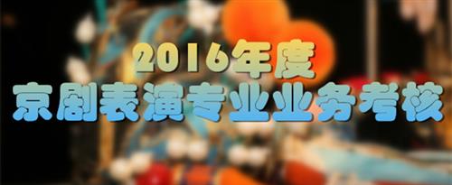 逼操逼国家京剧院2016年度京剧表演专业业务考...